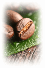 GARIBALDI VERSALIA ziarno 1kg - obrazek 3