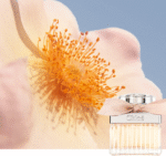 Chloé woda perfumowana dla kobiet 75 ml - obrazek 3