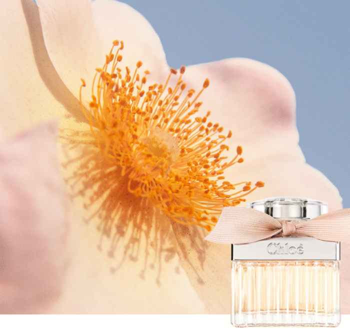 Chloé woda perfumowana dla kobiet 75 ml - obrazek 3