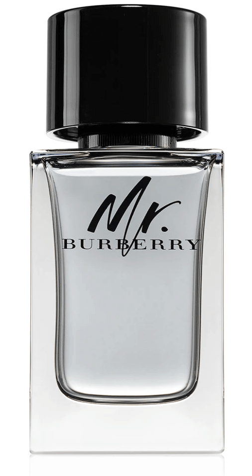 Burberry Mr. Burberry Edt 100ml