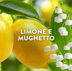 Lenor Płyn do płukania koncentrat AMALFI 1820ml - obrazek 5