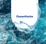 Sagrotan środek do czyszczenia łazienki 2W1 OCEAN 750ML - obrazek 4